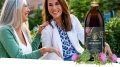 ostropest herbal pharmaceuticals.jpg